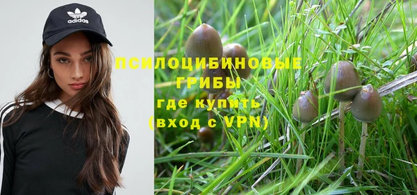 мяу мяу мука Нефтекумск