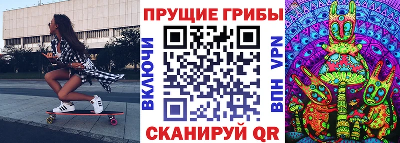Псилоцибиновые грибы Psilocybe  Сарапул 