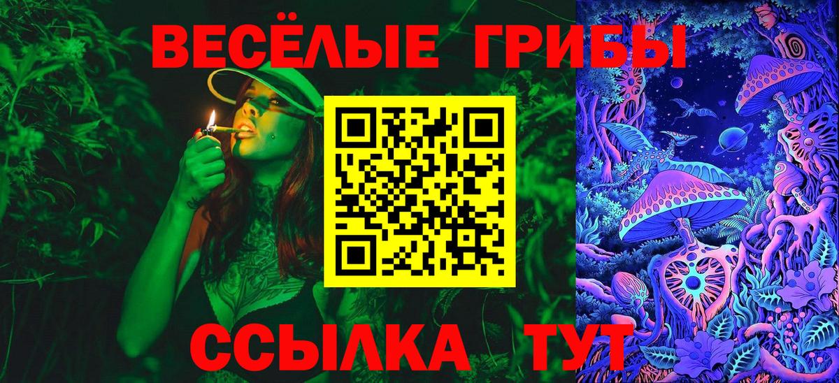 Псилоцибиновые грибы Psilocybine cubensis  Вход с VPN  Псилоцибиновые грибы MAGIC MUSHROOMS  Сарапул 